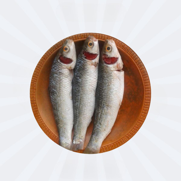 Bata Fish 500gm (Cleaned) Big Size