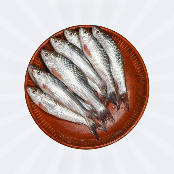Bata Fish (Cleaned)