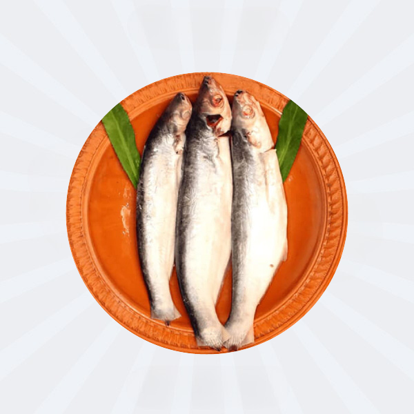 Bacha Fish
