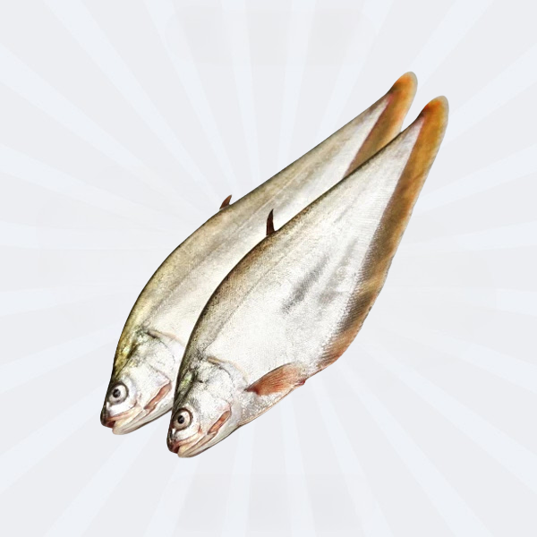Foly Fish