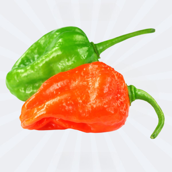 Kamranga Morich / Bombay Morich / Spicy Chilli / Habanero (Fresh)