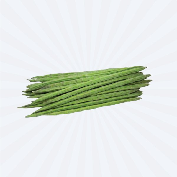 SAJNA DATA / DRUM STICK FRESH