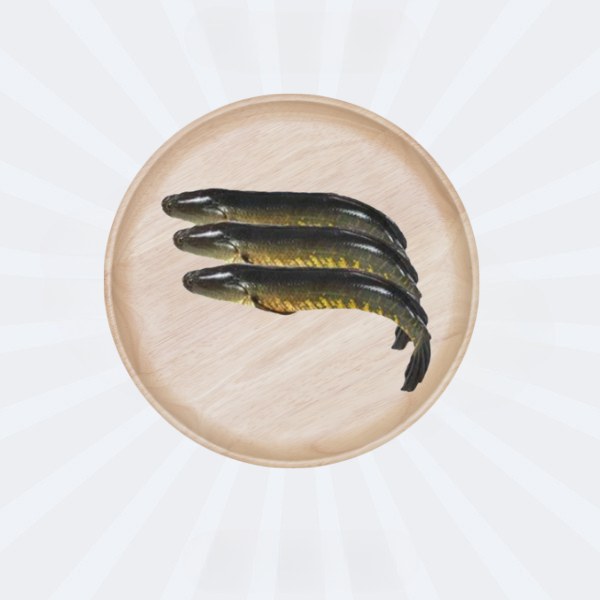 Shole / Shoil/ Ikan Gabus 500gm (in Tray)